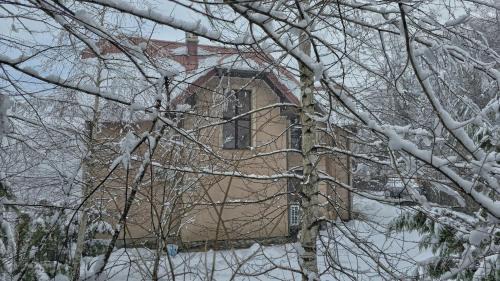 Kolasin Villa | Best View Kolasin