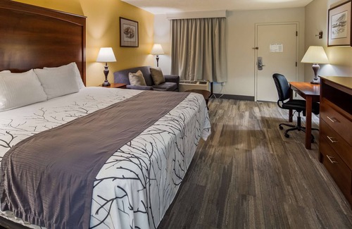Camden Hotel | Best Western Home Place Inn