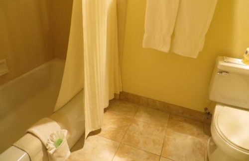 San Luis Obispo Hotel | Best Western Plus Royal Oak Hotel