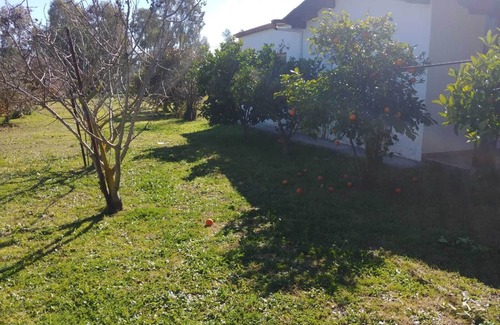 Quartucciu Casa | Entre el mar y la ciudad.