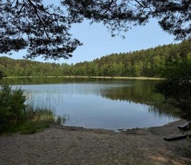 gmina Osieczna Casa | Biały domek w środku lasu