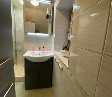 Saint-Dalmas-le-Selvage Apartamento | Bienvenue