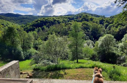 Biert Cama Y Desayuno | Biert La Coume