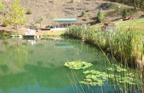 Cumberland Alquiler De RV | BIG D's POND & North Branch del río Potomac Camping.