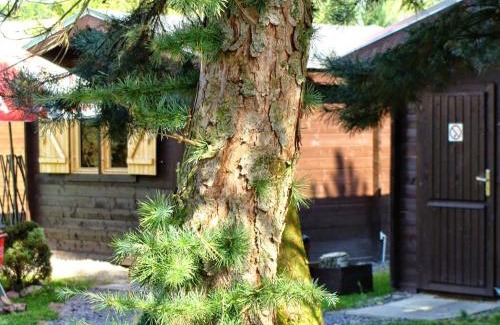 Przewoz Casa | Bike Camping