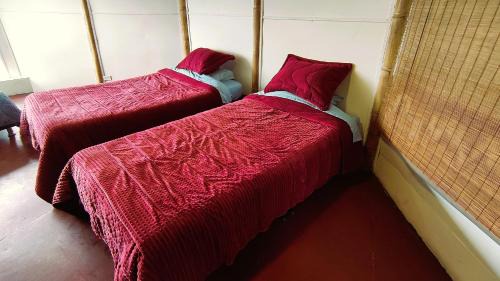 Santa Fe Casa | Bio Casa Colibrí Refugio de Montaña en Bogotá