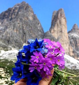 Perca Apartamento | BioTop Appartement Kronplatz