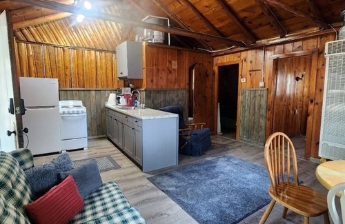 East Tawas Cabina | Birch Cabin