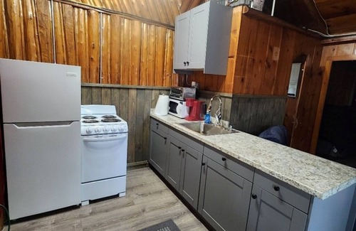 East Tawas Cabina | Birch Cabin