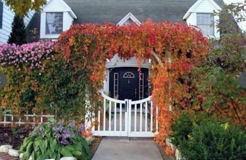 Ephraim Casa | The House at Green Gables - ¡Ubicado en el corazón de Efraín!