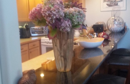 Port Townsend Cabaña | Aves Cottage Nido cerca de Fort Worden