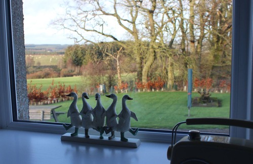 Jedburgh Cabaña | Birds Nest