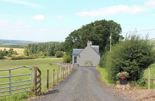 Jedburgh Cabaña | Birds Nest