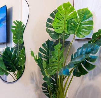 Parker Ridge Casa | Biva Luxe
