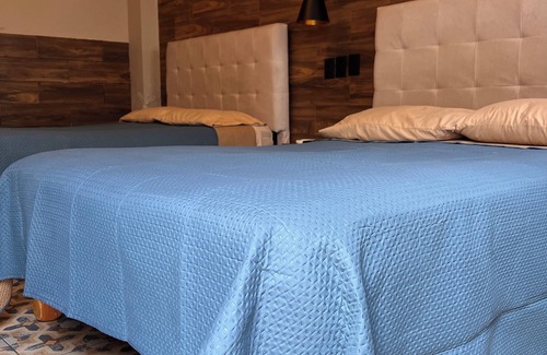 Centro histórico de Mazatlán Hotel | BLACK TREE HOTEL BOUTIQUE