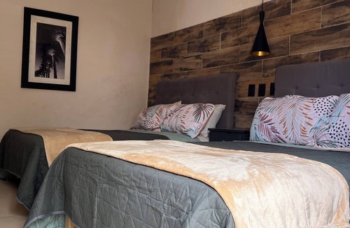 Centro histórico de Mazatlán Hotel | BLACK TREE HOTEL BOUTIQUE