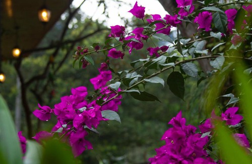 San Francisco Chalet De Esquí | Blanca María