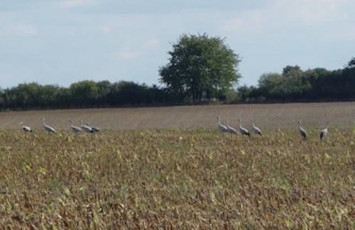 Muritz Cabina | Blockhaus 2