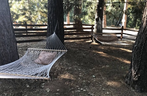 Nevada City Casa | Bloomfield en el bosque