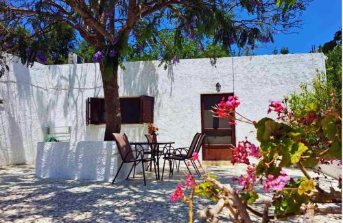 Alinda Casa | Blue Acacia in Alinda Leros