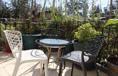 Bole Hotel | Blue Birds International Hotel