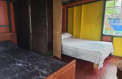 Blue Mountains National Park Cabina | Blue Mountain Wilderness Retreat Jamaica House