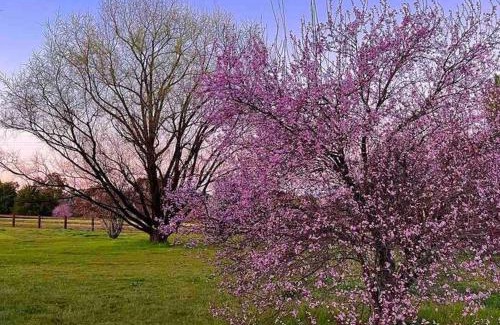 Robin Hill Casa | Blue Willow Bathurst Country Getaway