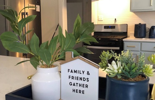 Vollintine-Evergreen Casa | Bluebell Bliss - Midtown Retreat- 4mi to Downtown
