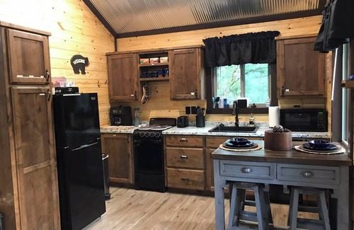 Whitesboro Cabina | Bluebird Treehouse Big Cedar Wilderness Cabins