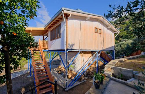 Faralya Cama Y Desayuno | BlueSea Faralya-Sardalya Full Deniz Manzaralı