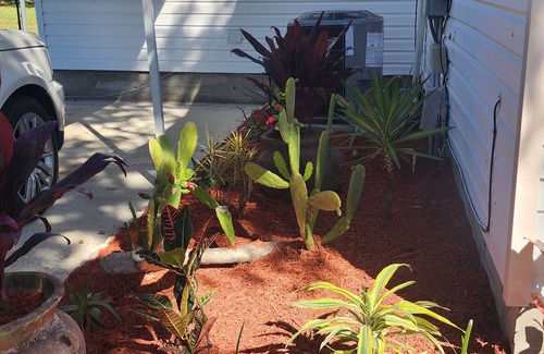 Edgewater Casa | Boat. Beach. Surf !!! 5 Min from NSB. Walk to Little Beach on Intercoastal.
