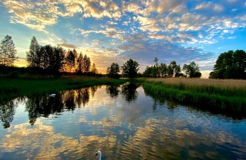 Kierwik Casa | Bocianie Gniazdo - Rosocha