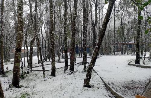 Pucon Casa | Boker Tov Pucón