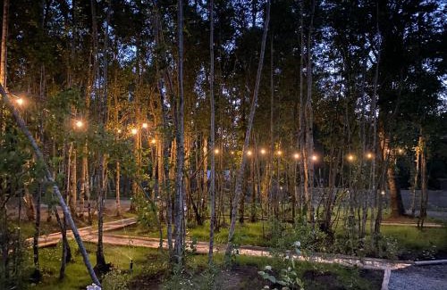 Pucon Complejo | Boker Tov Pucon