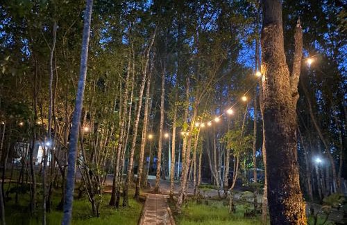 Pucon Complejo | Boker Tov Pucon