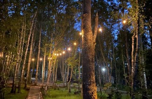 Pucon Complejo | Boker Tov Pucon