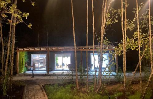 Pucon Complejo | Boker Tov Pucon