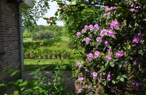 Den Hout Casa | Boshuis Golfzicht "Wellness, Golf & Nature"