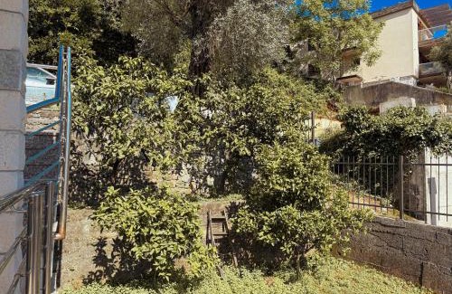 Budva Apartamento | Boutique Hotel Moonstar