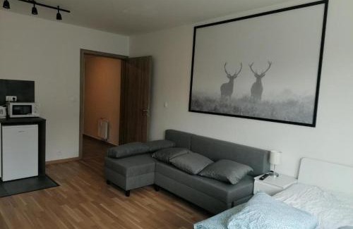Palmovka Apartamento | Brand new studio apartment #30 in brand new building FREE PARKING close to center