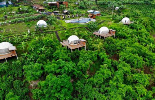 Pechr Chenda Hotel | Breathe Wild