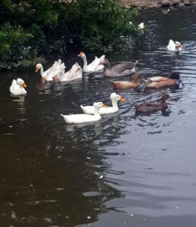 Port Beaufort Chalet De Esquí | Breede River Holiday Farm Malgas