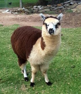 Port Beaufort Chalet De Esquí | Breede River Holiday Farm Malgas