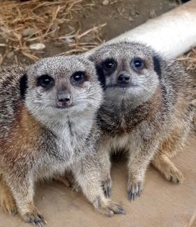 Port Beaufort Chalet De Esquí | Breede River Holiday Farm Malgas