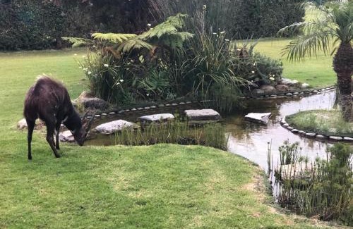 Lake Brenton Complejo | Brenton Lake Holiday Cottages