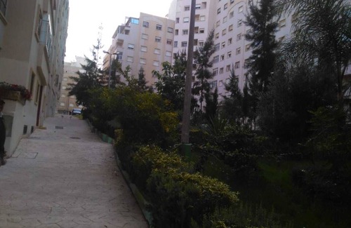 Tangier Apartamento | Apartamento amplio y luminoso.