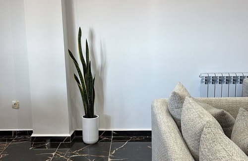 Algiers Apartamento | Bright Sea View 3-bedroom apartment in Raïs Hamidou