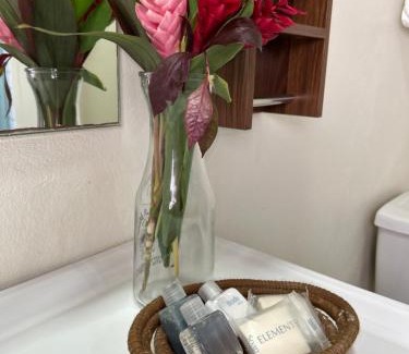 Antoneys Cay Hotel | Brisas Del Mar Beach + Dive Resort