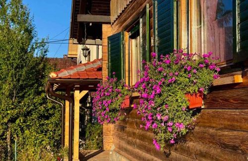 Gornja Toplica Casa | Brvnara LARA Banja Vrujci