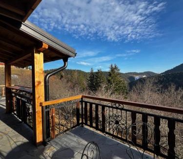 Zlatibor Casa | Brvnara Pogled Zlatara